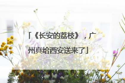《长安的荔枝》，广州真给西安送来了