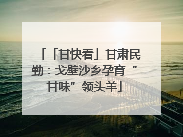 「甘快看」甘肃民勤：戈壁沙乡孕育“甘味”领头羊