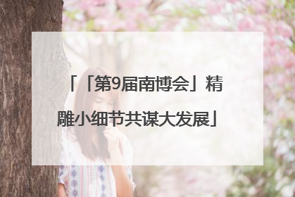 「第9届南博会」精雕小细节共谋大发展
