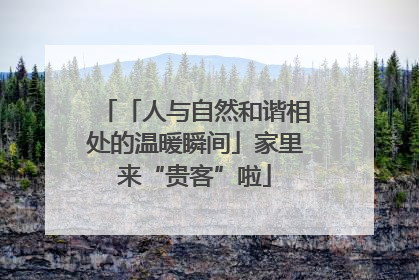 「人与自然和谐相处的温暖瞬间」家里来“贵客”啦