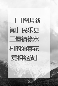 「图片新闻」民乐县三堡镇徐寨村的油菜花竞相绽放