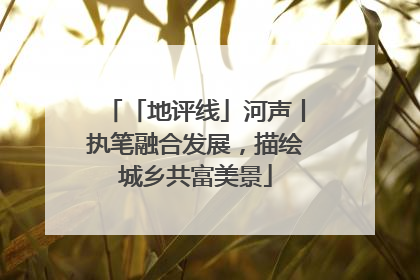 「地评线」河声丨执笔融合发展，描绘城乡共富美景