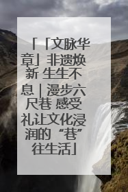 「文脉华章」非遗焕新 生生不息｜漫步六尺巷 感受礼让文化浸润的“巷”往生活