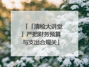 「清检大讲堂」严把财务预算与支出合规关