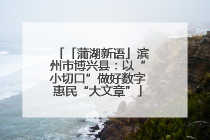 「蒲湖新语」滨州市博兴县：以“小切口”做好数字惠民“大文章”