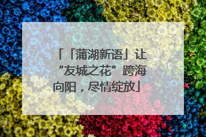 「蒲湖新语」让“友城之花”跨海向阳，尽情绽放