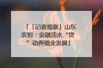 「记者观察」山东农担：金融活水“贷”动养殖业发展