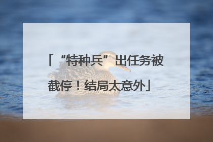 “特种兵”出任务被截停！结局太意外