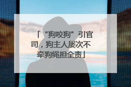“狗咬狗”引官司，狗主人屡次不牵狗绳担全责