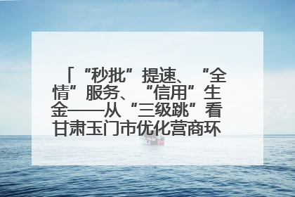 “秒批”提速、“全情”服务、“信用”生金——从“三级跳”看甘肃玉门市优化营商环境的进阶之路
