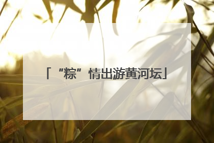 “粽”情出游黄河坛