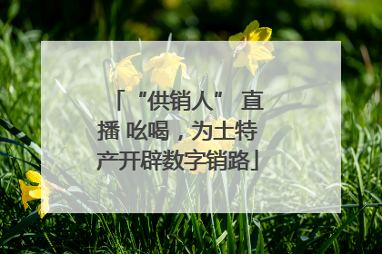 “供销人” 直播 吆喝，为土特产开辟数字销路