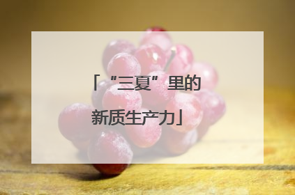 “三夏”里的新质生产力