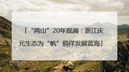 “两山”20年观澜：浙江庆元生态为“帆”徜徉发展蓝海