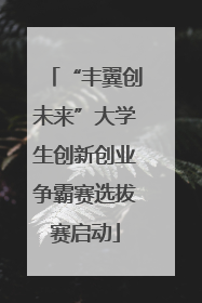 “丰翼创未来”大学生创新创业争霸赛选拔赛启动