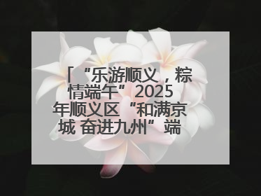 “乐游顺义，粽情端午”2025年顺义区“和满京城 奋进九州”端午主题活动启幕