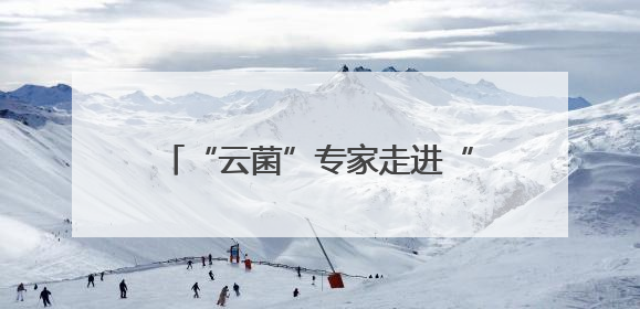 “云菌”专家走进“彩云英才荟”解读“一朵蘑菇”的产业未来