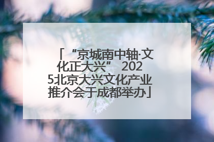 “京城南中轴·文化正大兴” 2025北京大兴文化产业推介会于成都举办