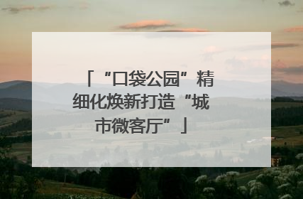 “口袋公园”精细化焕新打造“城市微客厅”