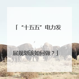 “十五五”电力发展规划该如何做？