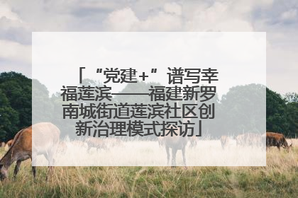 “党建+”谱写幸福莲滨——福建新罗南城街道莲滨社区创新治理模式探访