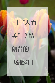 “大而美”？特朗普的一场格斗