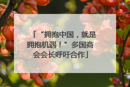 “拥抱中国，就是拥抱机遇！”多国商会会长呼吁合作
