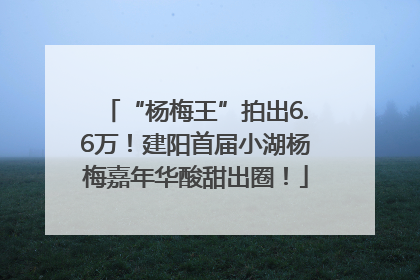 “杨梅王”拍出6.6万！建阳首届小湖杨梅嘉年华酸甜出圈！