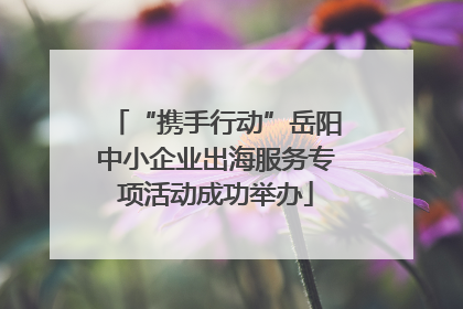 “携手行动”岳阳中小企业出海服务专项活动成功举办