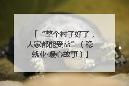 “整个村子好了，大家都能受益”（稳就业·暖心故事）