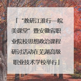 “教研江淮行—皖美课堂”暨安徽省职业院校思想政治课程研讨活动在芜湖高级职业技术学校举行