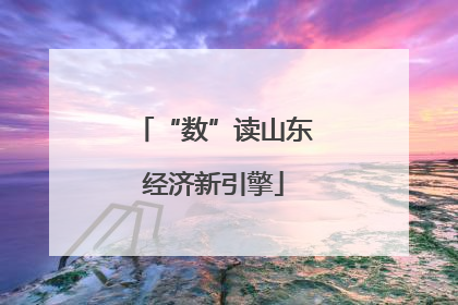 “数”读山东经济新引擎