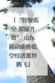 “智驭低空 翼展齐鲁” 山东移动助推低空经济蓄势腾飞