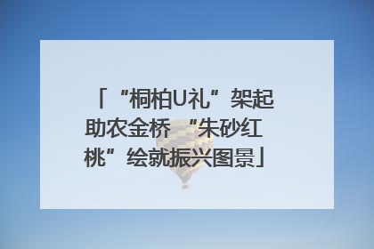 “桐柏U礼”架起助农金桥 “朱砂红桃”绘就振兴图景