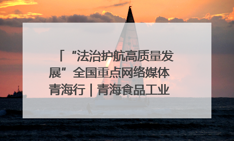 “法治护航高质量发展”全国重点网络媒体青海行｜青海食品工业协会：架起“青字号”美食的产业化桥梁