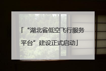 “湖北省低空飞行服务平台”建设正式启动