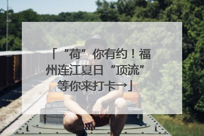 “荷”你有约！福州连江夏日“顶流”等你来打卡→