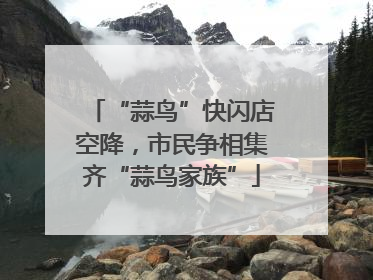 “蒜鸟”快闪店空降，市民争相集齐“蒜鸟家族”