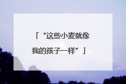 “这些小麦就像我的孩子一样”