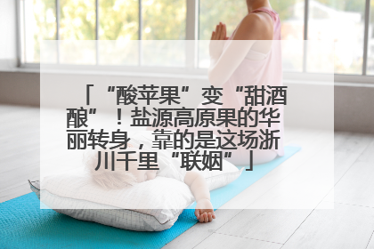 “酸苹果”变“甜酒酿”！盐源高原果的华丽转身，靠的是这场浙川千里“联姻”