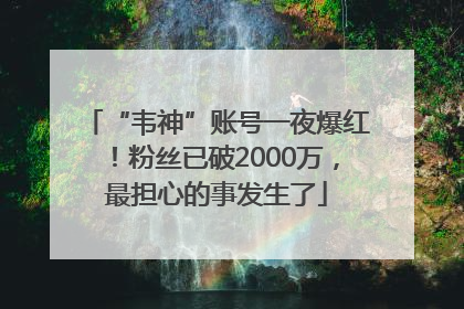 “韦神”账号一夜爆红！粉丝已破2000万，最担心的事发生了