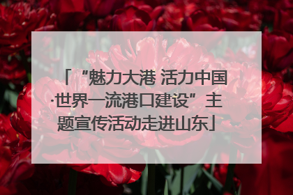 “魅力大港 活力中国·世界一流港口建设”主题宣传活动走进山东