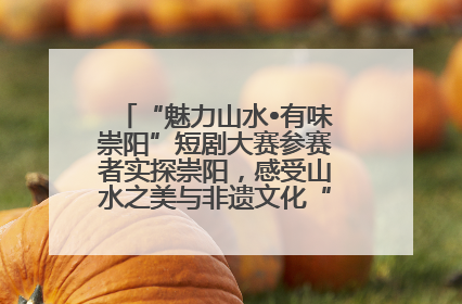 “魅力山水•有味崇阳”短剧大赛参赛者实探崇阳，感受山水之美与非遗文化“提琴戏”魅力