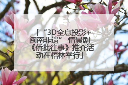 “3D全息投影+闽南非遗” 情景剧《侨批往事》推介活动在梧林举行