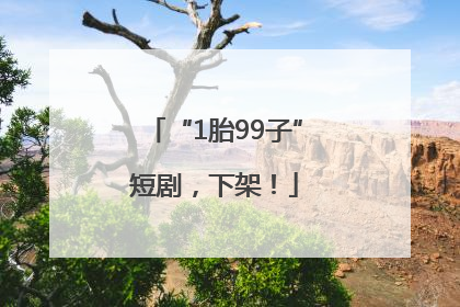 “1胎99子”短剧，下架！