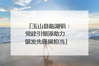 玉山县临湖镇：党建引领添助力 银发先锋展担当