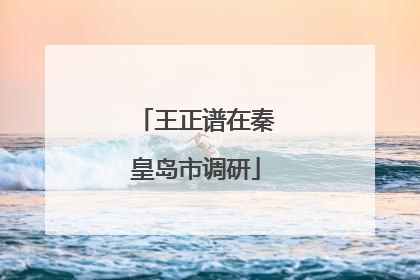 王正谱在秦皇岛市调研