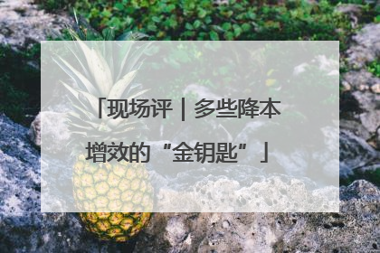 现场评｜多些降本增效的“金钥匙”