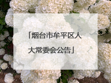 烟台市牟平区人大常委会公告