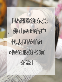 热烈欢迎东莞、佛山两地客户代表团莅临itc保伦股份考察交流